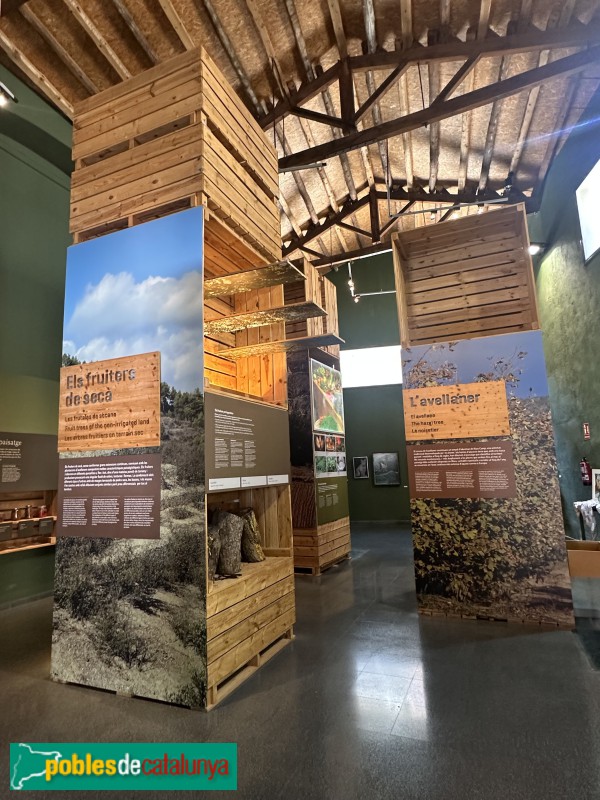 Riudecanyes - Museu de la Cooperativa (Foto: Albert Esteves, 2025) Riudecanyes - Museu de la Cooperativa