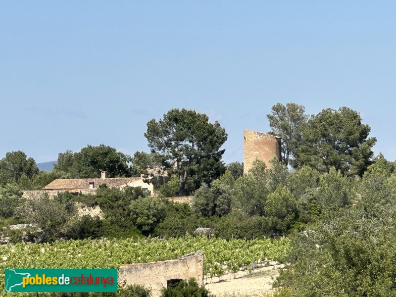 El vendrell - Torre d'en Sebastià (Sant Vicenç de Calders)