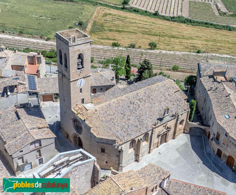 Verdú - Església de Santa Maria, pica baptismal