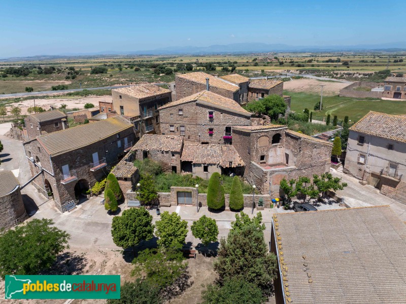 Tàrrega - Riudovelles (Foto: Francesc Vidal-Barraquer, 2025) Tàrrega - Riudovelles