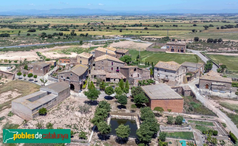 Tàrrega - Riudovelles (Foto: Francesc Vidal-Barraquer, 2025) Tàrrega - Riudovelles