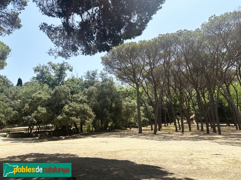 Argentona - Parc de la Font Picant