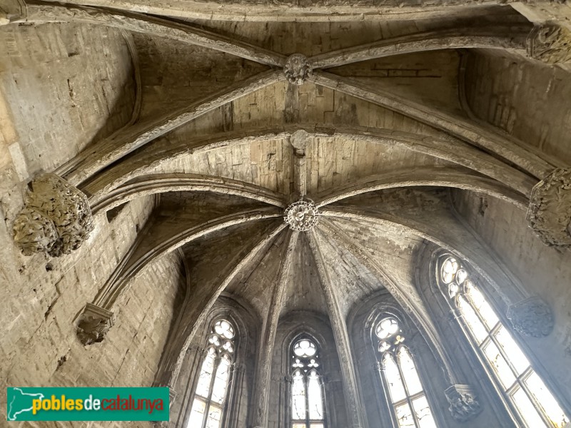 Lleida - Seu Vella. Capella de la Immaculada
