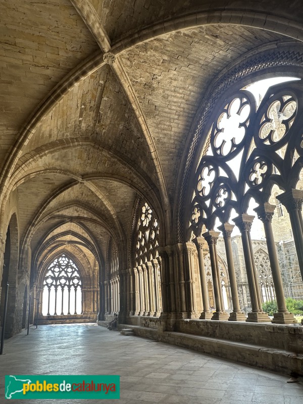 Lleida - Seu Vella. Claustre (Foto: Albert Esteves, 2025) Lleida - Seu Vella. Claustre