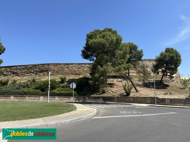 Lleida - La Suda. Baluard de la Llengua de Serp