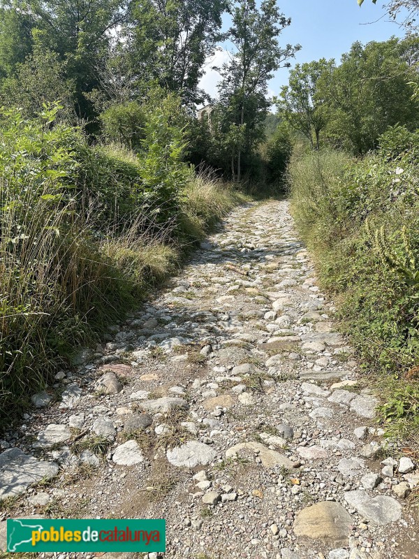 Bellver de Cerdanya - Camí de Sant Serni de Coborriu (Foto: Albert Esteves, 2025) Bellver de Cerdanya - Camí de Sant Serni de Coborriu