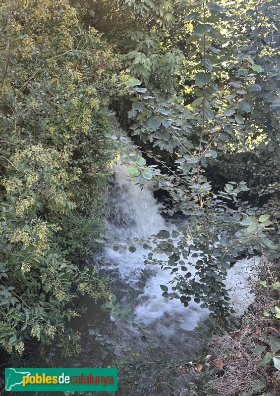 Lleida - Molí de Sant Anastasi. Salt d'aigua