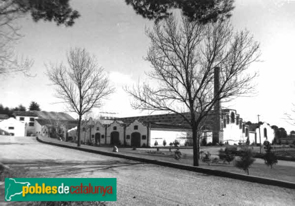Lleida - Cellers de Raimat