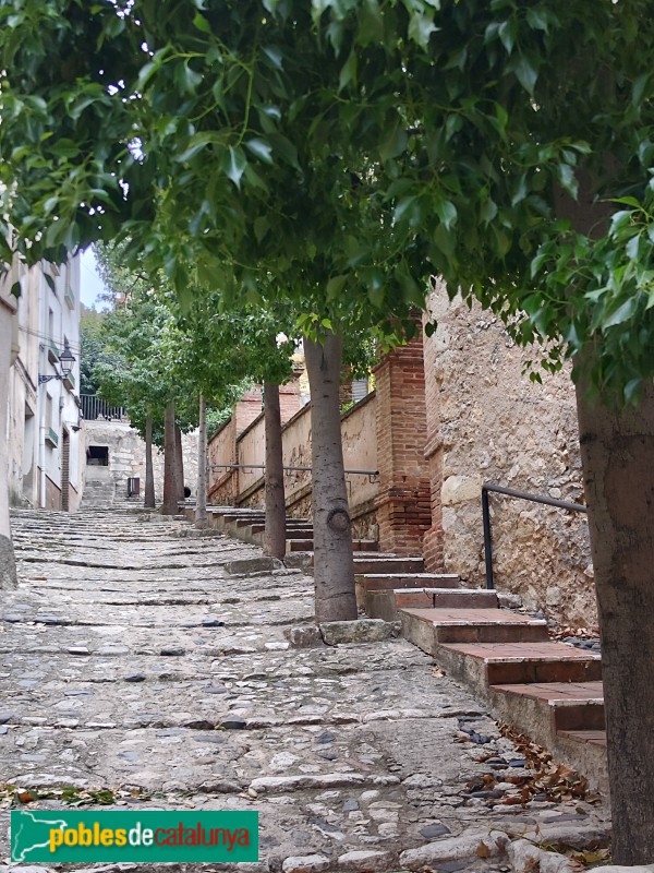 La Riba - Molí d'en Roig