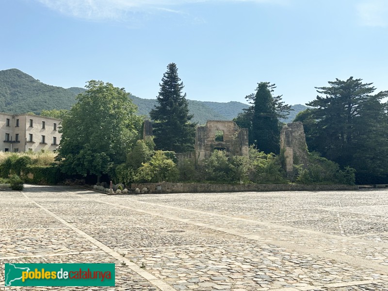 Monestir de Poblet - Ruïnes del palau abacial