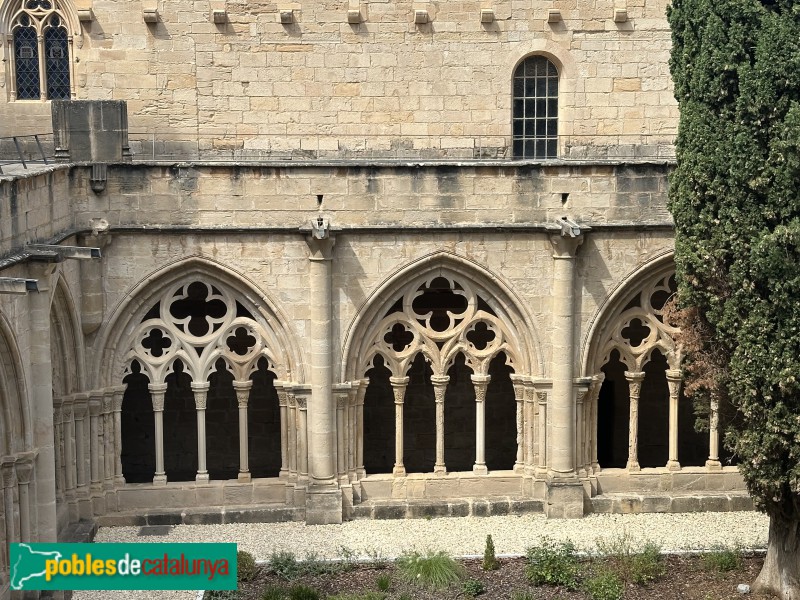 Monestir de Poblet - Claustre (Foto: Albert Esteves, 2025) Monestir de Poblet - Claustre