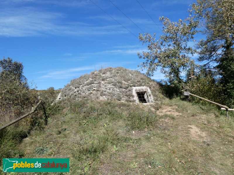 Castellterçol - Pou de glaç de la Vinyota