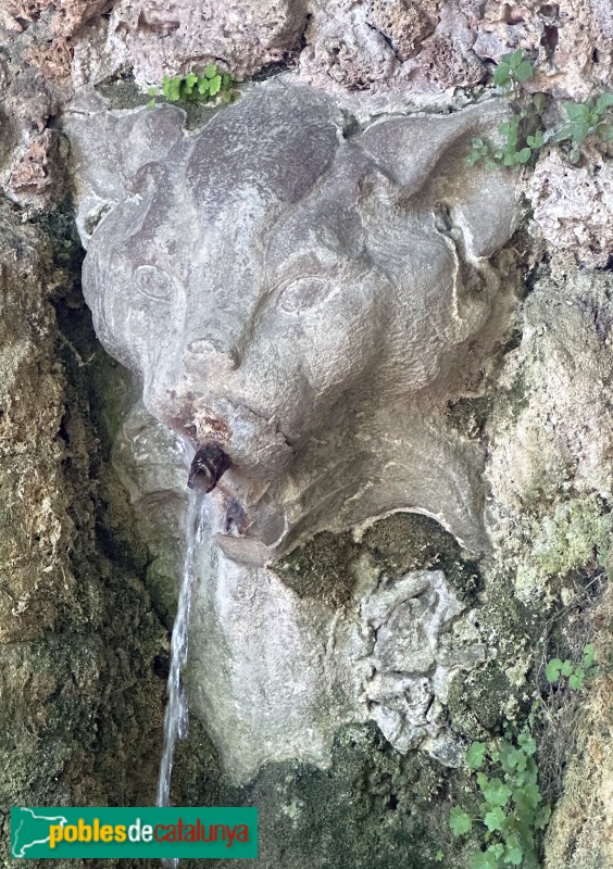 Barcelona - Font del Gat (Foto: Albert Esteves, 2025) Barcelona - Font del Gat