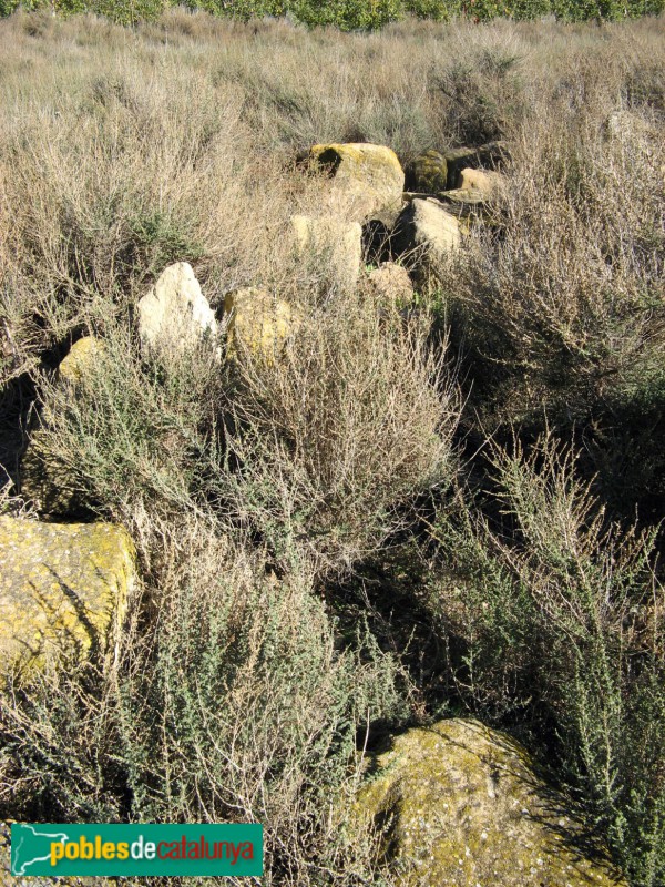 Torregrossa - Sant Bartomeu de Margalef (Foto: Albert Esteves, 2008) Torregrossa - Sant Bartomeu de Margalef