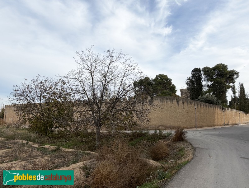 Albatàrrec - Castell dels Espolters