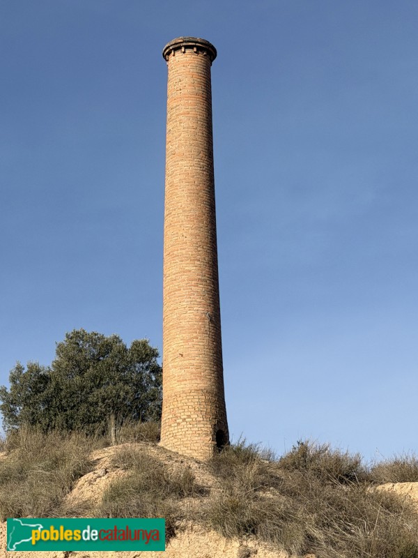 Montoliu de Lleida - Teuleria Tonino