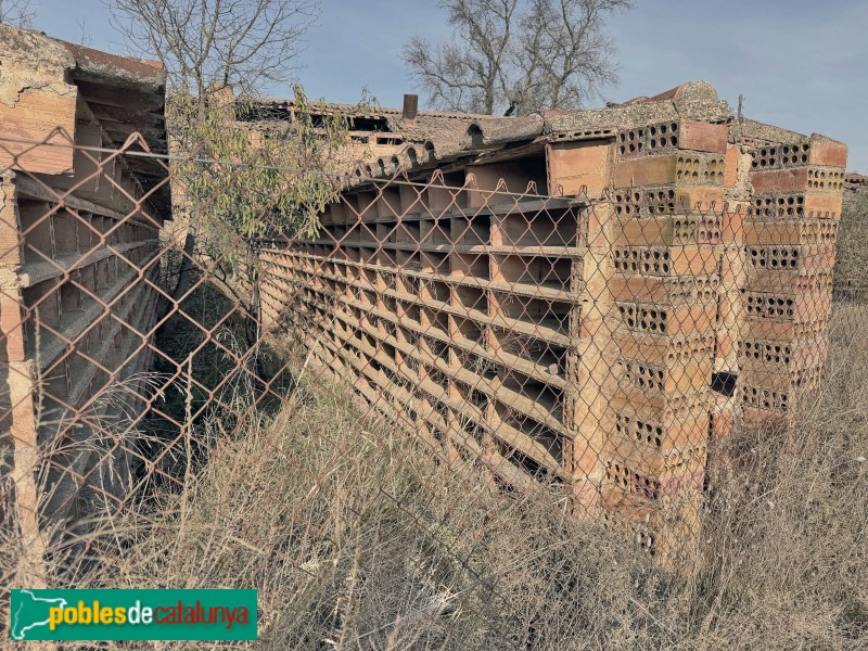 Montoliu de Lleida - Teuleria Tonino