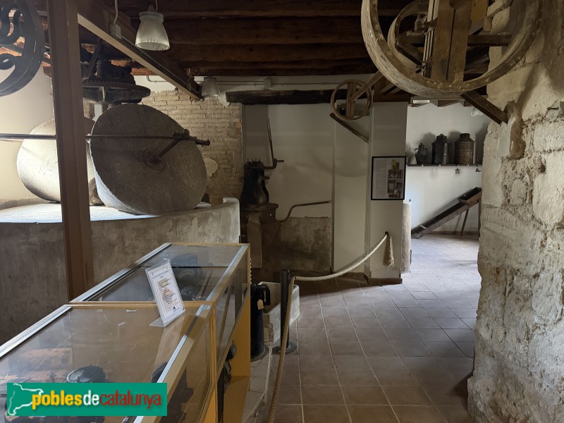 Torres de Segre - Museu de l'Evolució