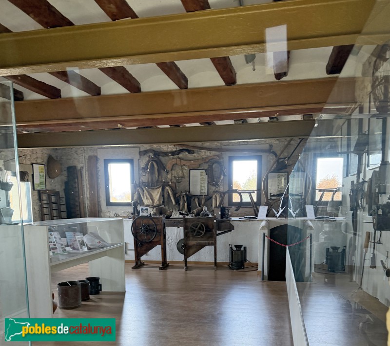 Torres de Segre - Museu de l'Evolució