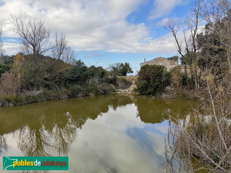 Celrà - Bassa de Can Marturi
