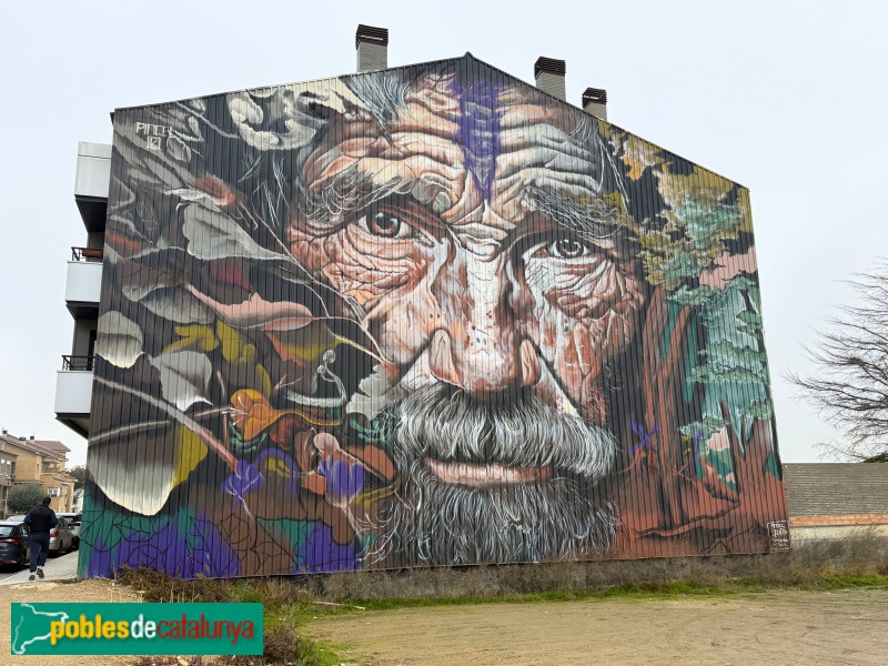 Torrefarrera - Mural <i>El Espíritu de la Naturaleza</i> (Pincel, 2024)