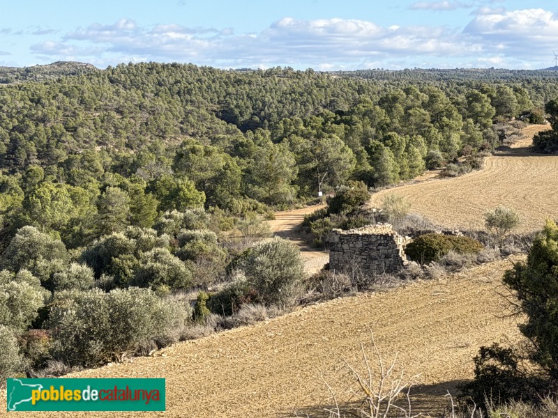 Llardecans - Restes del poblat d'Adar