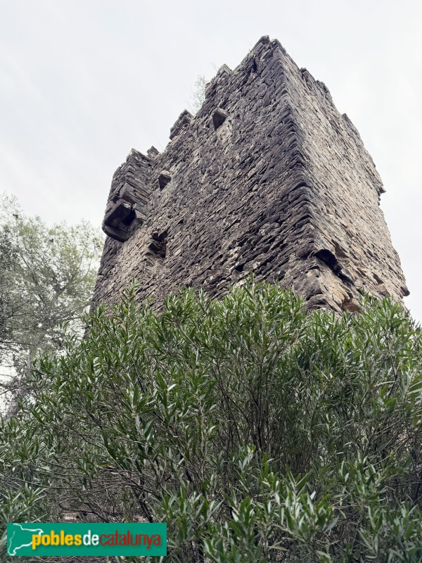 Sant Julià de Ramis - Castell de Montagut