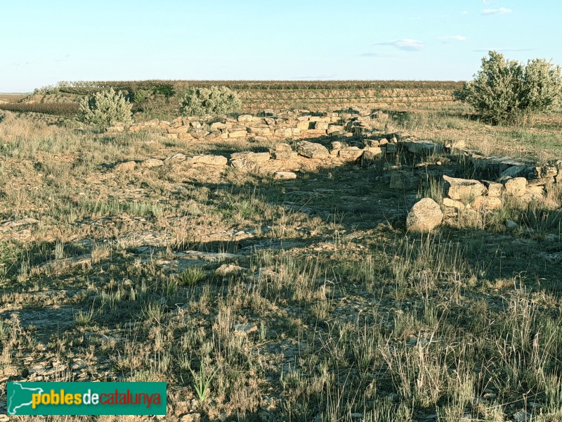 Aitona - Jaciment prehistòric de Genó