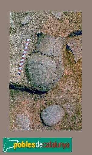 Aitona - Jaciment prehistòric de Genó. Tenalla llisa en el moment de la trobada