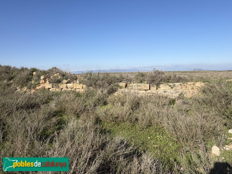 Alguaire - Castell-comanda d'Alguaire (Foto: Albert Esteves, 2026) Alguaire - Castell-comanda d'Alguaire