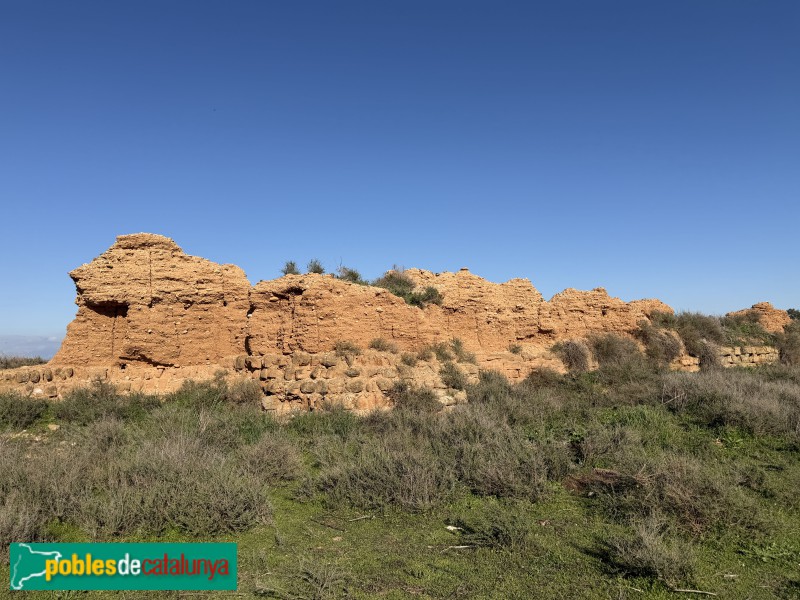 Alguaire - Castell-comanda d'Alguaire (Foto: Albert Esteves, 2026) Alguaire - Castell-comanda d'Alguaire