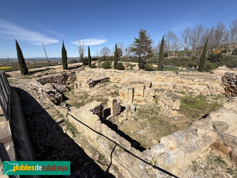 Almacelles - Parc arqueològic del Vilot