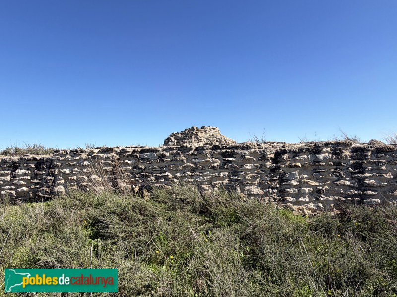 Almacelles - Castell de la Saira