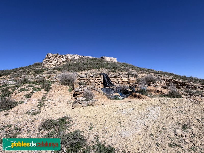 Almacelles - Castell de la Saira