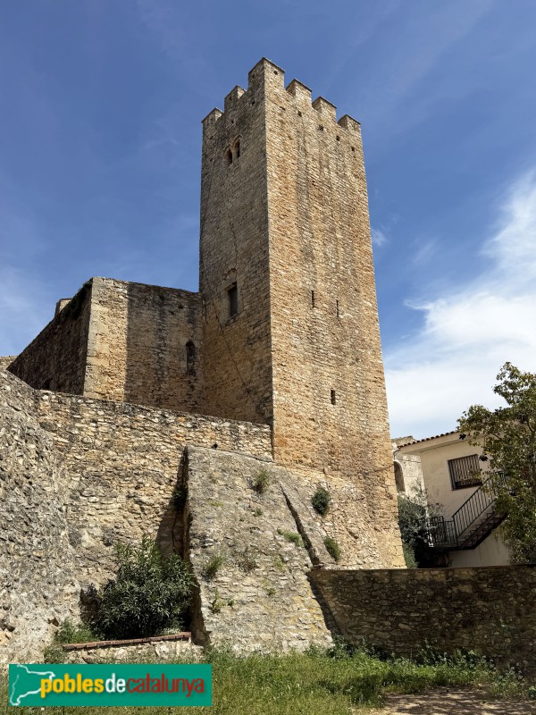 Santa Oliva - Castell de Santa Oliva (Foto: Albert Esteves, 2026) Santa Oliva - Castell de Santa Oliva