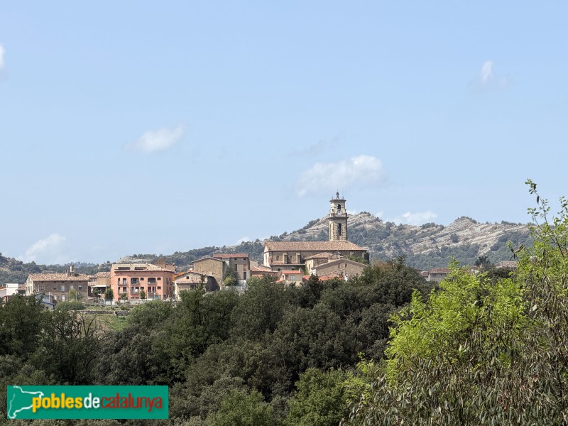 Sant Pere de Torelló - Església de Sant Pere